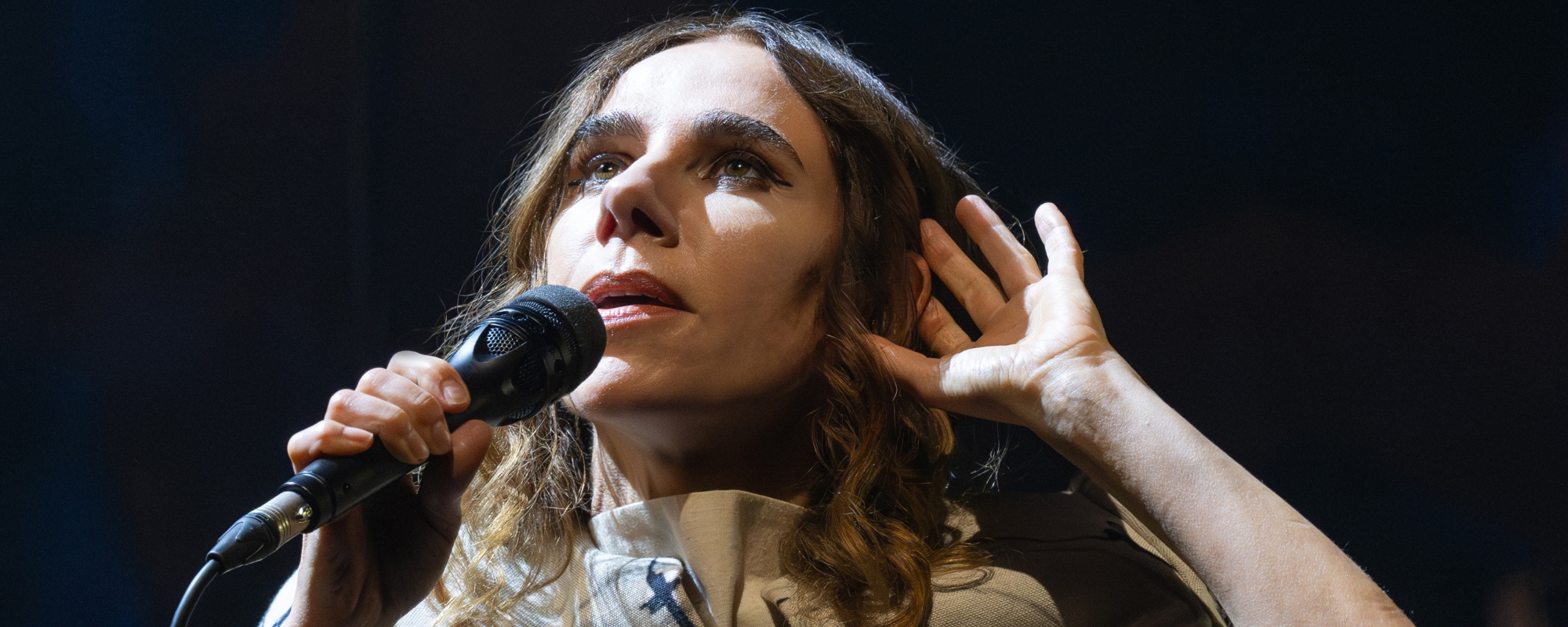 PJ Harvey’s Soundtracks: From a ‘Peaky Blinders’ Cover to ‘Bad Sisters’ and More