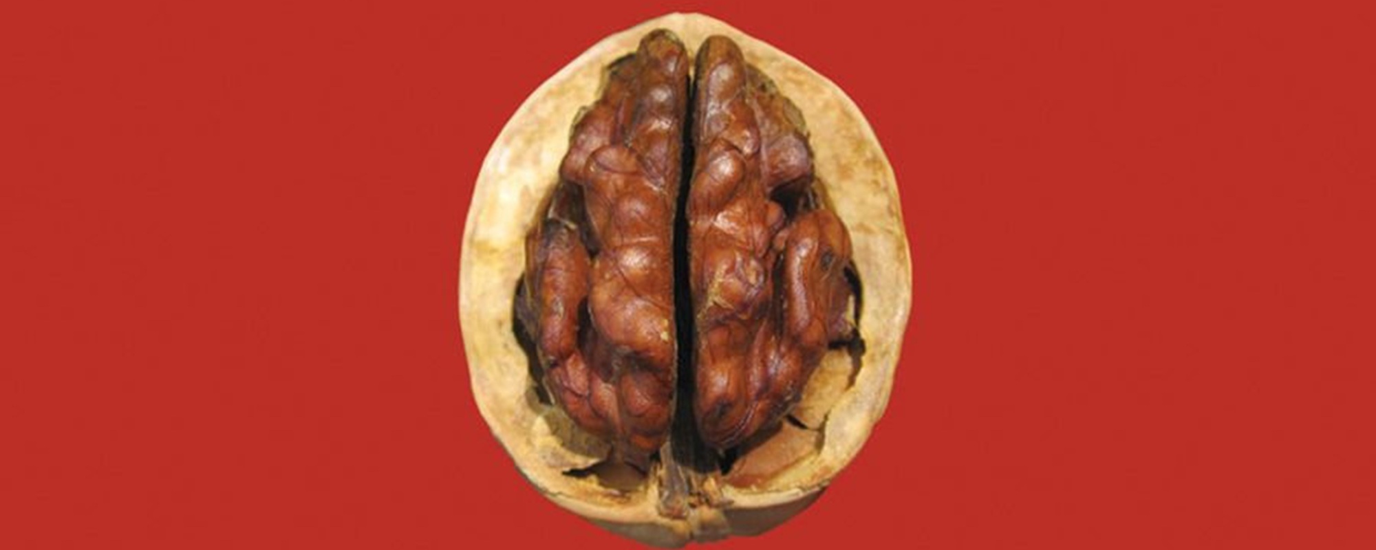 Cover of The Books' 'Thought For Food' via Bandcamp