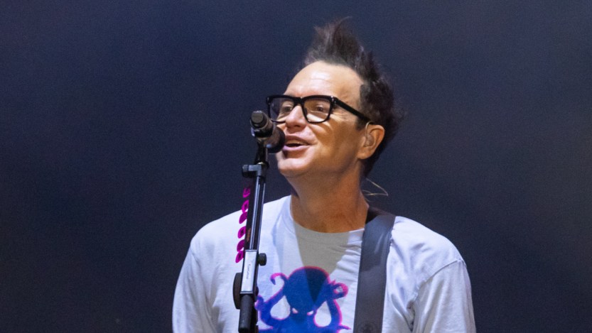 Blink-182's Mark Hoppus Might Have Played a Crucial Part in the Capture of Sadam Hussein