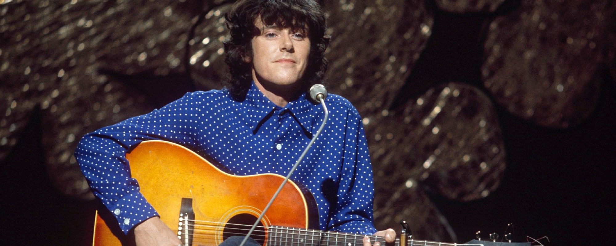 Donovan performing