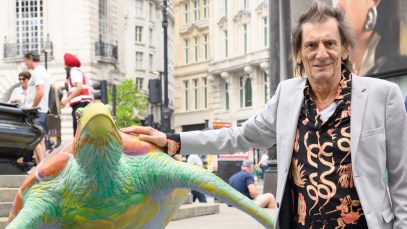 Find Out How Rolling Stones Guitarist Ronnie Wood Has Used His Painting Skills to Help Aid Endangered Sea Turtles