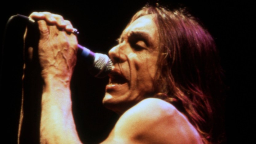 Iggy Pop; Rugrats