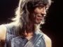 Tom Scholz of Boston performing