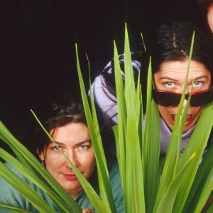 The Breeders