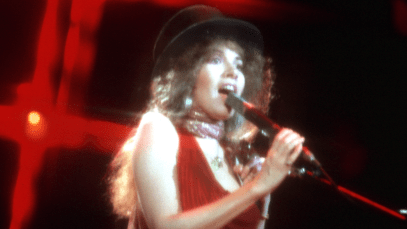 Stevie Nicks Shares Update With Fans After Postponing Multiple Shows