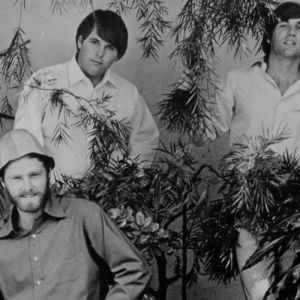 The Beach Boys