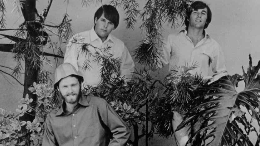 The Beach Boys