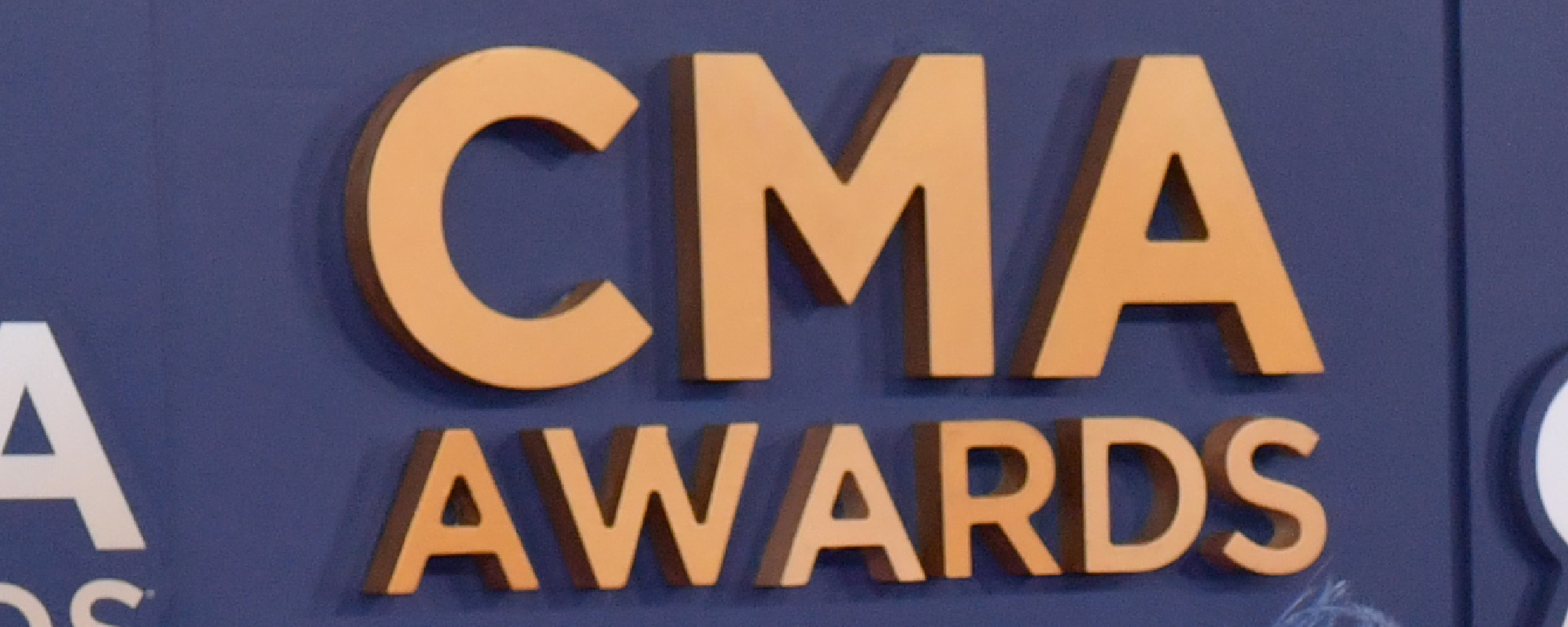 Fans Come to Kelsea Ballerini’s Defense Over Surprise CMA Awards Decision