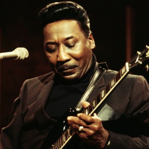 Muddy Waters On Jazz At The Maltings TV Show