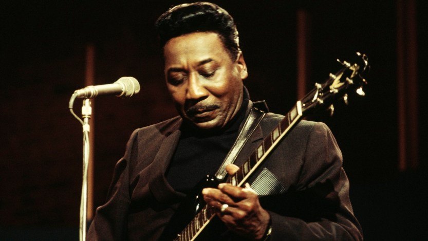 Muddy Waters On Jazz At The Maltings TV Show