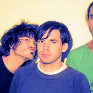 Photo of Meat Puppets