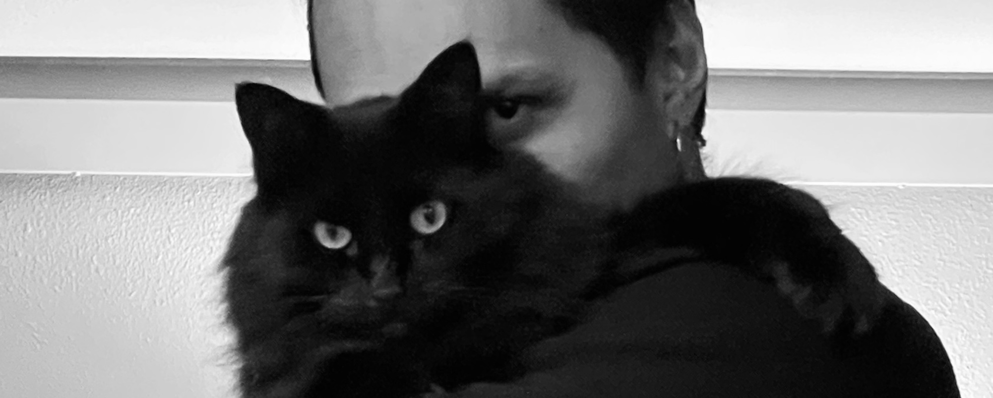 Exclusive Premiere: Seattle’s Arthur James Sings Ode to Cat, “Little Buffalo”