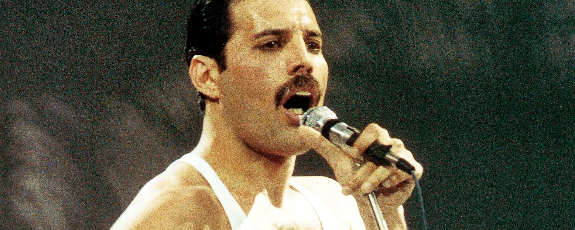 On This Day in 1991, Freddie Mercury Died 24 Hours After Announcing Tragic Diagnosis
