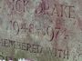 Nick Drake tombstone