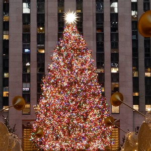 Your Guide to the 2025 Rockefeller Center Christmas Tree Ceremony