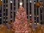 Your Guide to the 2025 Rockefeller Center Christmas Tree Ceremony