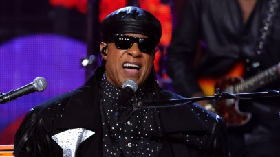 Stevie Wonder Announces Cancellation of Annual Benefit Concerts