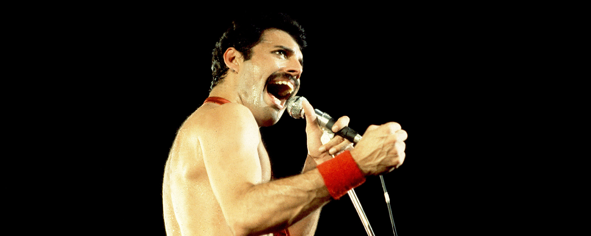 Freddie Mercury’s “Secret Daughter” Reportedly Dead at 48