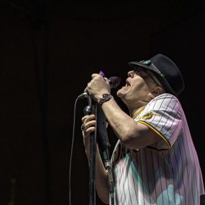 blues traveler gin blossoms tour