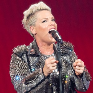 Pink Reacts to Rock Hall Nomination With Message to Misfits