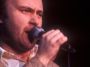 Phil Collins performing