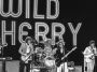 Wild Cherry performing in the 1970s