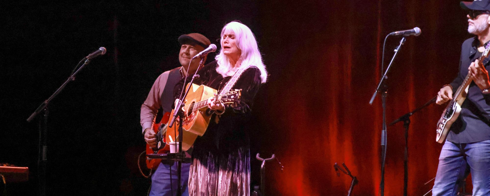 ولد في مثل هذا اليوم من عام 1947، تعهد هذا الرائد الشعبي الريفي ذو الصوت البلوري والناشط في مجال حقوق الحيوان بحمل شعلة جرام بارسونز.