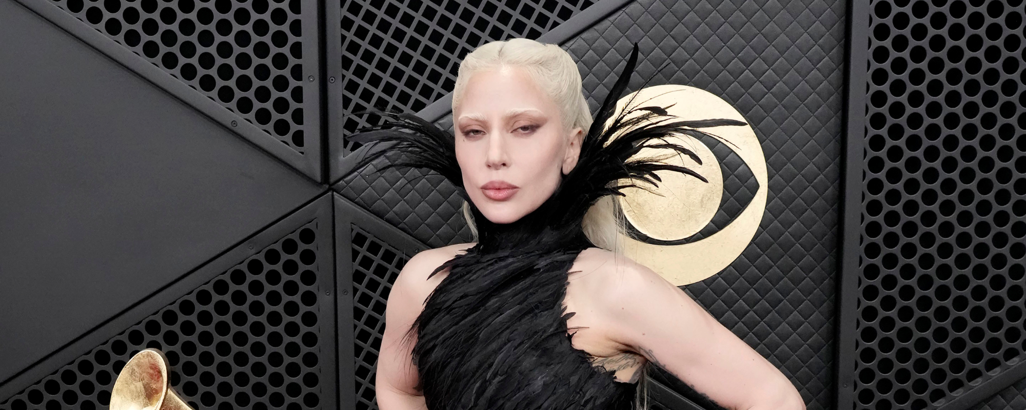 Lady Gaga Cancels Concert After Doctor “Strongly Advised” Her to Do So