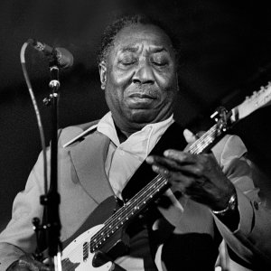 Muddy Waters