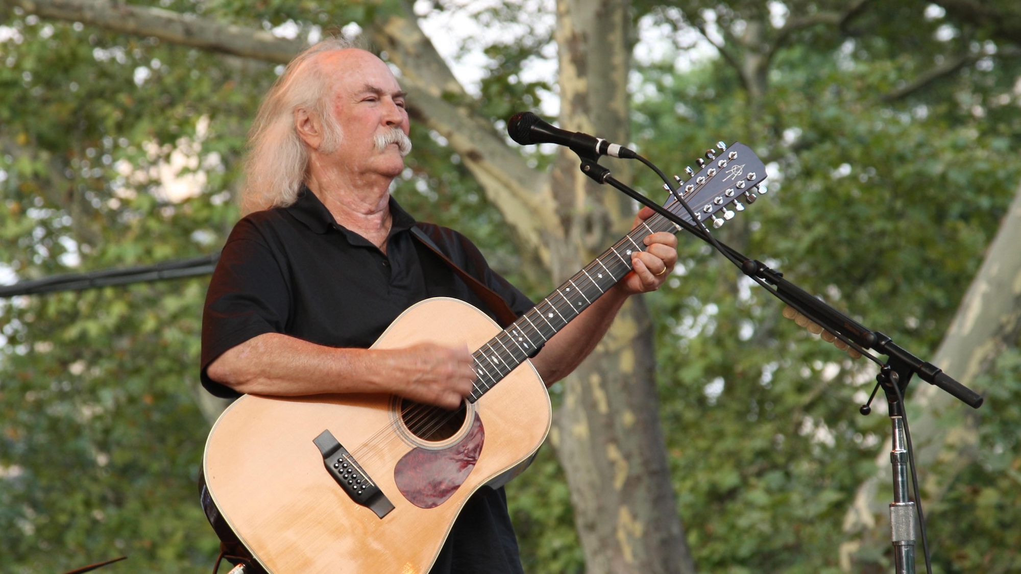 David Crosby Considered This Pink “Protest Song” From 2006 To Be One of His Favorites