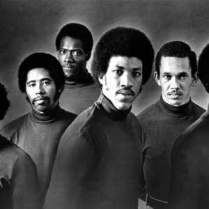 the commodores