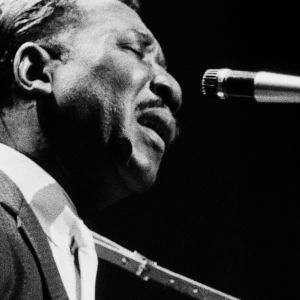 Muddy Waters performing