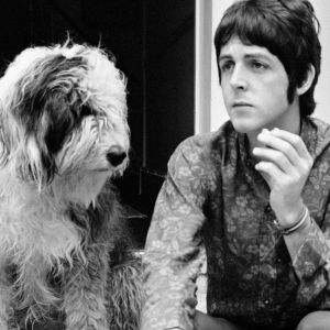 Paul McCartney sitting with a dog