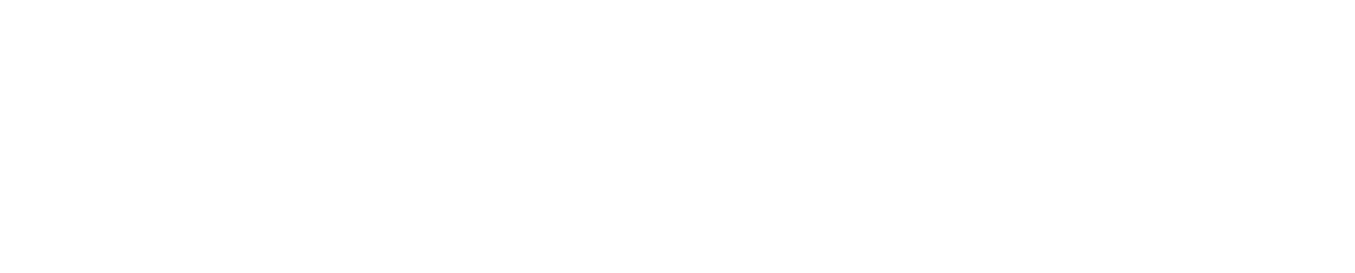 Blackbird Studio