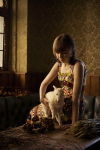 The Observer: A Q&A with Alessi’s Ark