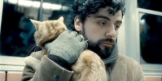 llewyndavis