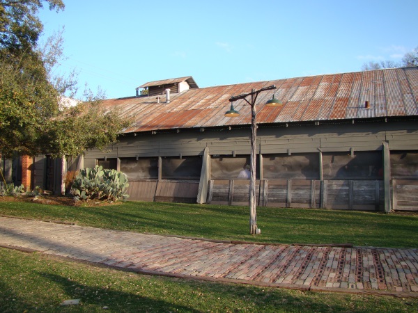 BACK_GRUENE