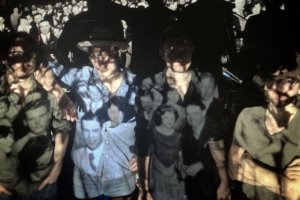 Daily Discovery: Milktooth, “Wild Before Our Eyes”