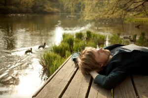 Daily Discovery: Owls of the Swamp, “Shapeshifter”