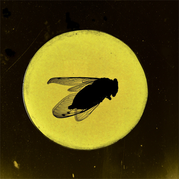 a0068101589_10