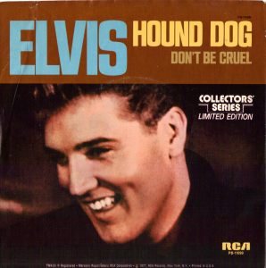 What are the Best Songs About Dogs?