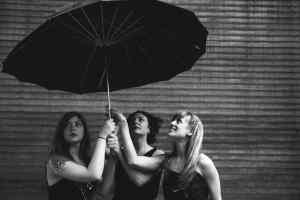 Album Premiere: Locust Honey String Band Never Let Me Cross Your Mind