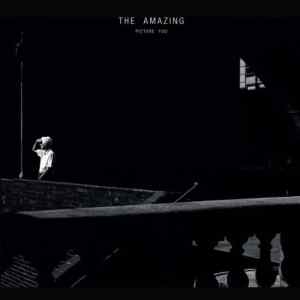 The Amazing: Picture You