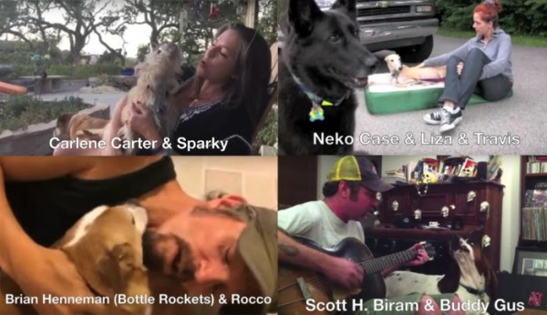 Bottle Rockets - Dog Video