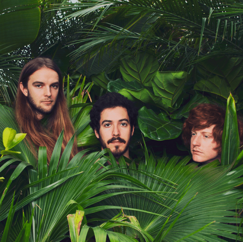 music-band-wake-up-laughing-stream-album