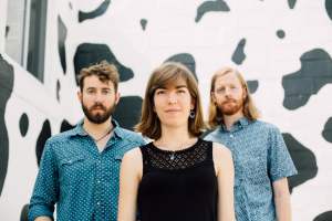 Video Premiere: The Stray Birds, “Third Day in a Row”