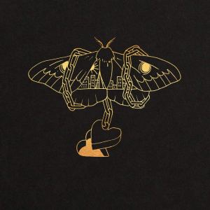 David Gray: Gold In A Brass Age