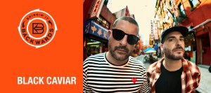 Bringin’ it Backwards: Interview with Black Caviar