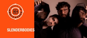 Bringin’ it Backwards: Interview with slenderbodies