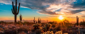 Take a Trip Through the States with Songs for Arizona—America’s Songbook